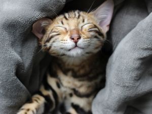 Shutterstock New study