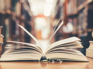 Shutterstock returned