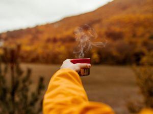 حظك اليوم وتوقعات الأبراج السبت 4 تشرين الثاني/ نوفمبر 2023