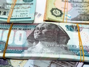 سعر الدولار اليوم في مصر