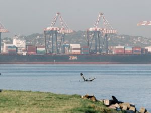 ZIM Ship 