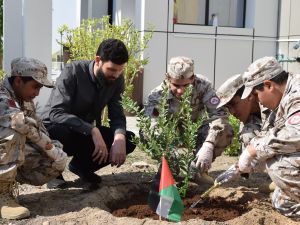 طلاب مؤسسة قطر يغرسون أشجار الزيتون، تضامنًا مع أهالينا في فلسطين