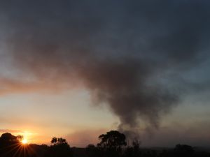 عشرات الشهداء والجرحى في قصف استهدف مخيم النصيرات