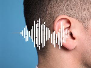 Shutterstock voices that aren't there