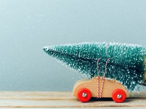 6 نصائح هامة قبل شراء شجرة الكريسماس الجديدة 