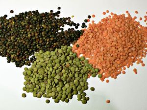 تفسير رؤية العدس في المنام