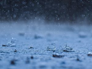 رسائل صباحية جميلة عن المطر