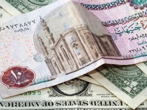 سعر الدولار اليوم في مصر