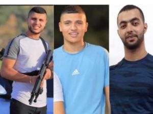 اغتيال 3 فلسطينيين بينهم شقيقين في جنين 