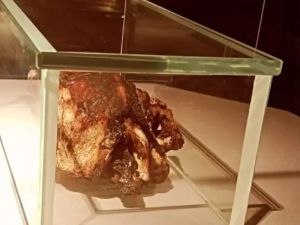 Mummified duck inside Egypt's Luxor Museum