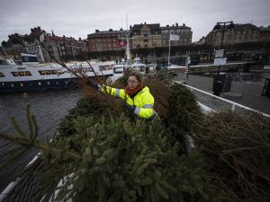On this freezing January morning, dozens of discarded Christmas trees rounded up after the holidays are tossed into Stockholm's glacial waters, recycled to provide a welcoming habitat for marine life. (Photo by Jonathan NACKSTRAND / AFP) Christmas trees