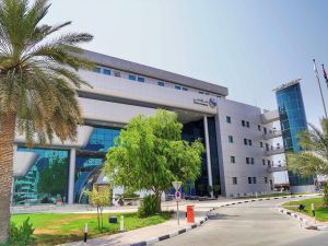 Dubai Customs Soars to New Heights: Achieving Record-Breaking Performance, Innovation Accolades, and Community Impact in 2023