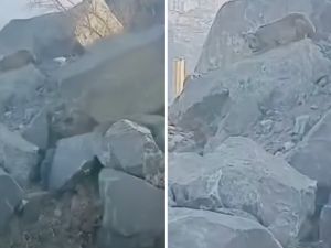 From X.com (@3m__1) Mountains of Mecca