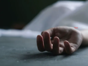 Shutterstock  fridge