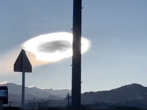 From X.com(@mog_china)  Earthquake