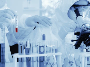 Shutterstock  Covid-19