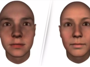 From University of Glasgow Face shape
