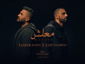 تامر حسني