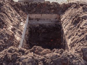 astronomical calendar