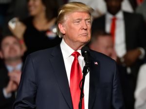 Donald Trump will likely defeat Joe Biden and win the presidential elections in 2024, according to polls. (Evan El-Amin/ Shutterstock)