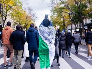 ماكرون يريد الاعتراف بالدولة الفلسطينية