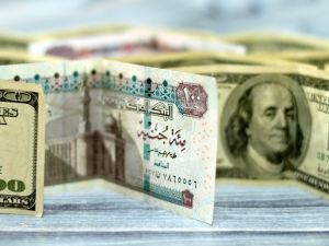 سعر الدولار اليوم في مصر