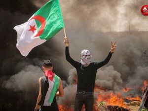 اميركا تهدد بفيتو ضد مشروع قرار جزائري في مجلس الامن- الصورة عن تويتر