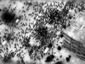 Gaza aid massacre