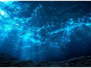 Shutterstock   Ocean