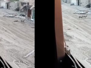 From (X.com) Israeli sniper