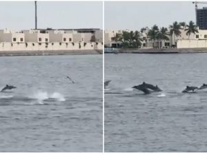 From(X.com) Jeddah Sea