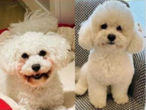 From Facebook  Cuddles