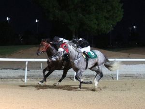 Al Masaood Automobiles Supports H.H. Sheikh Mansoor Bin Zayed Al Nahyan Racing Festival 2024