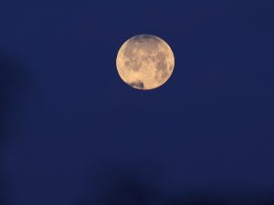 تجرى عادة عمليات رصد هلال رمضان في الأيام الأخيرة من شهر شعبان