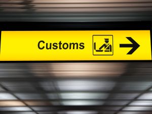 Shutterstock monkeys