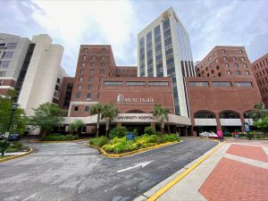 Shutterstock University