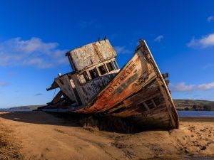 Shutterstock Nemesis