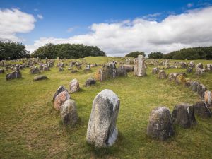 Shutterstock Missing skulls