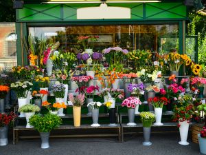 Shutterstock flower shop