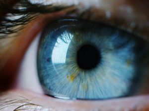 Shutterstock blue eyes