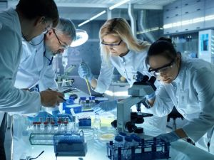 Shutterstock  Black henbane