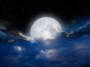 Shutterstock nuclear reactor