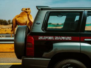 Arabian Automobiles Celebrates Rich Heritage of the Patrol Super Safari with Exclusive 2024 ‘Al Ostoura’ Edition