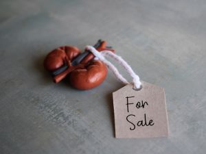 Iraqi man lures son and sells his kidney