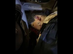 ام فهد لحظة اغتيالها