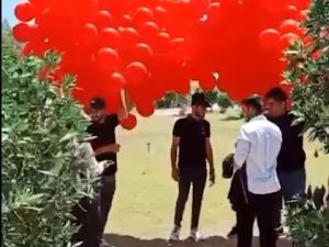 لقطة من الفيديو