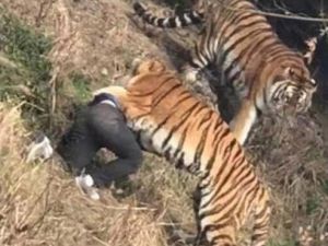 Video circulating on X Chinese