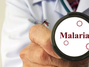 معلومات هامة عن اليوم العالمي لمكافحة مرض الملاريا 