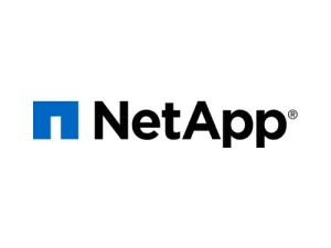 NetApp’s 2024 Cloud Complexity Report Reveals AI Disrupt or Die Era Unfolding Globally