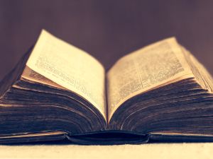 Shuttersock Bible